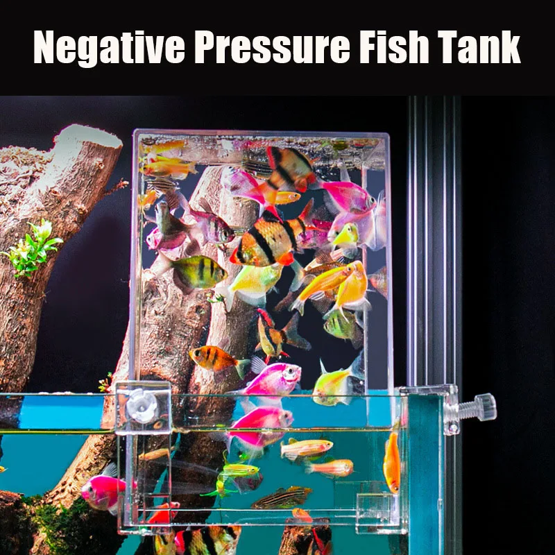 Yaratıcı akvaryum tankları neg - Aquarium Fish In Bowl incelemesi ve fiyatı