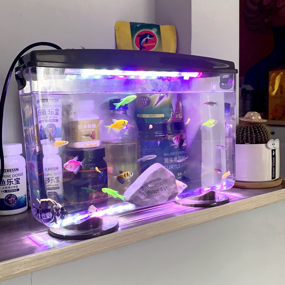 Küçük Balık Karidesleri Kaplum - Aquarium Fish In Bowl incelemesi ve fiyatı