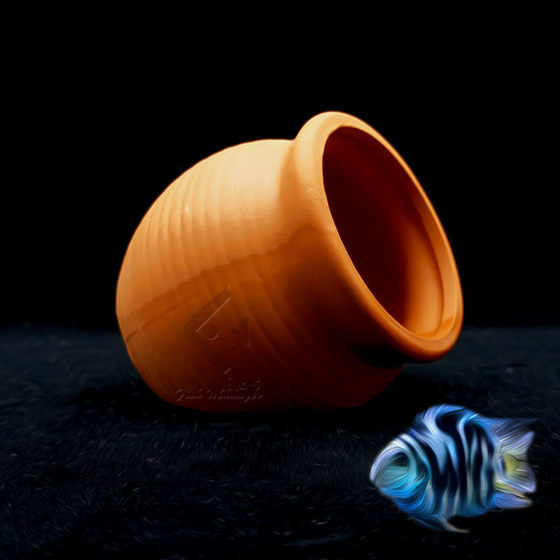 Akvaryum Mini seramik tankı ba - Aquarium Fish Pot incelemesi ve fiyatı