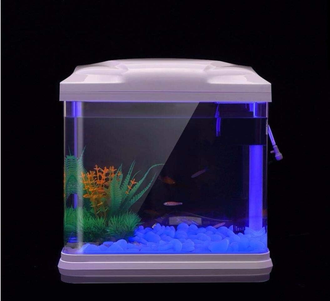 Balık Tankı Kayalar Bahçe için - Aquarium Fish Photography incelemesi ve fiyatı