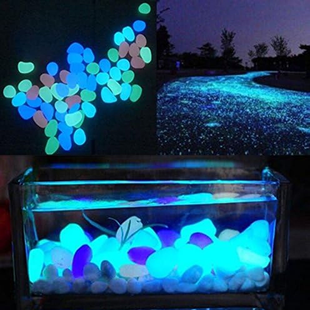 Balık Tankı Kayalar Bahçe için - Aquarium Fish Photography incelemesi ve fiyatı