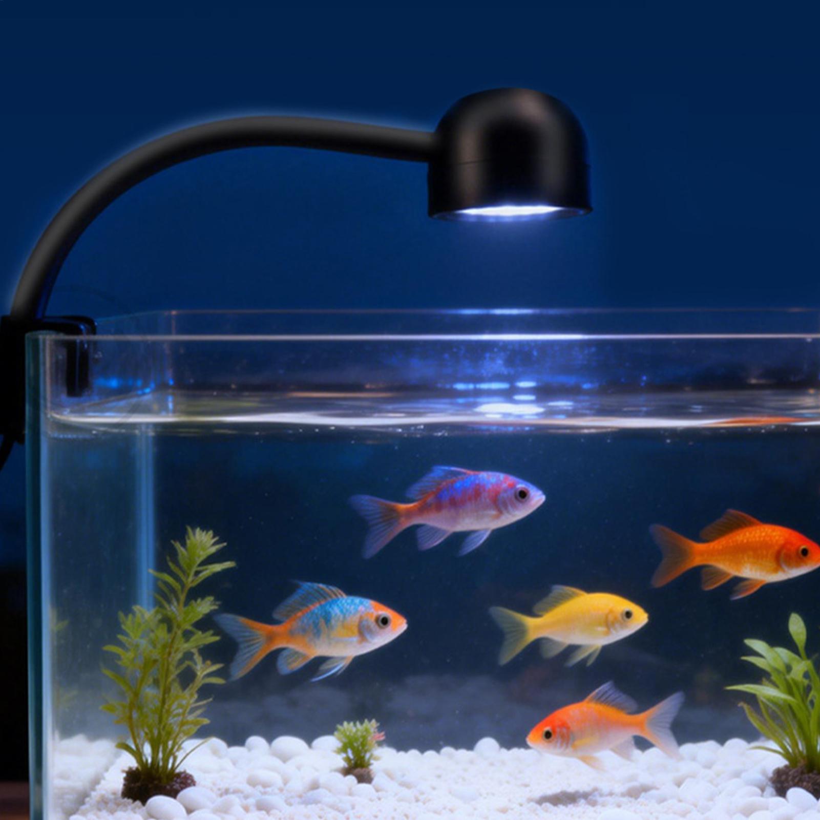LED balık tankı ışığı 360 döne - Aquarium Fish Live incelemesi ve fiyatı