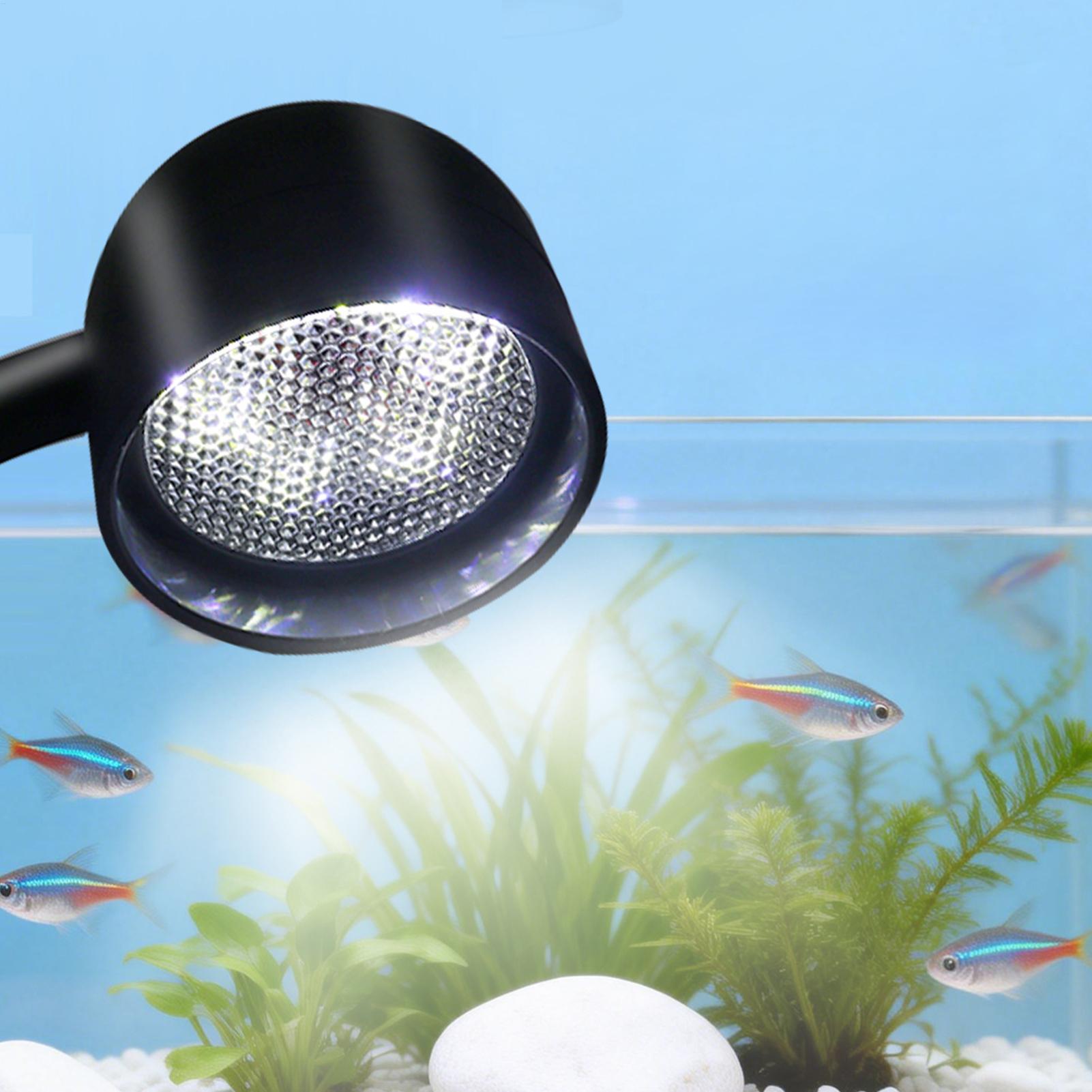 LED balık tankı ışığı 360 döne - Aquarium Fish Live incelemesi ve fiyatı