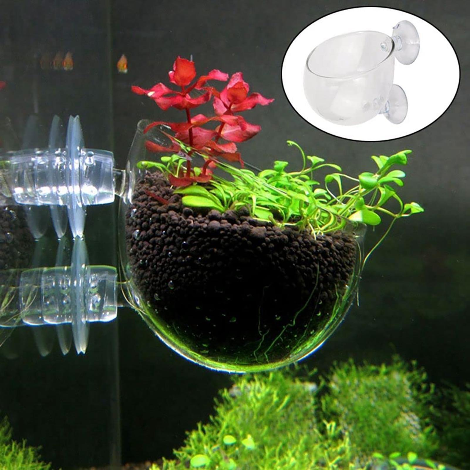 Su Bitkisi Saksısı Şeffaf Akri - Aquarium Fish Pot incelemesi ve fiyatı
