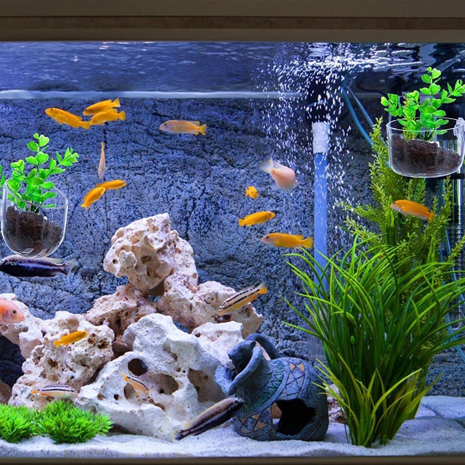 Su Bitkisi Saksısı Şeffaf Akri - Aquarium Fish Pot incelemesi ve fiyatı
