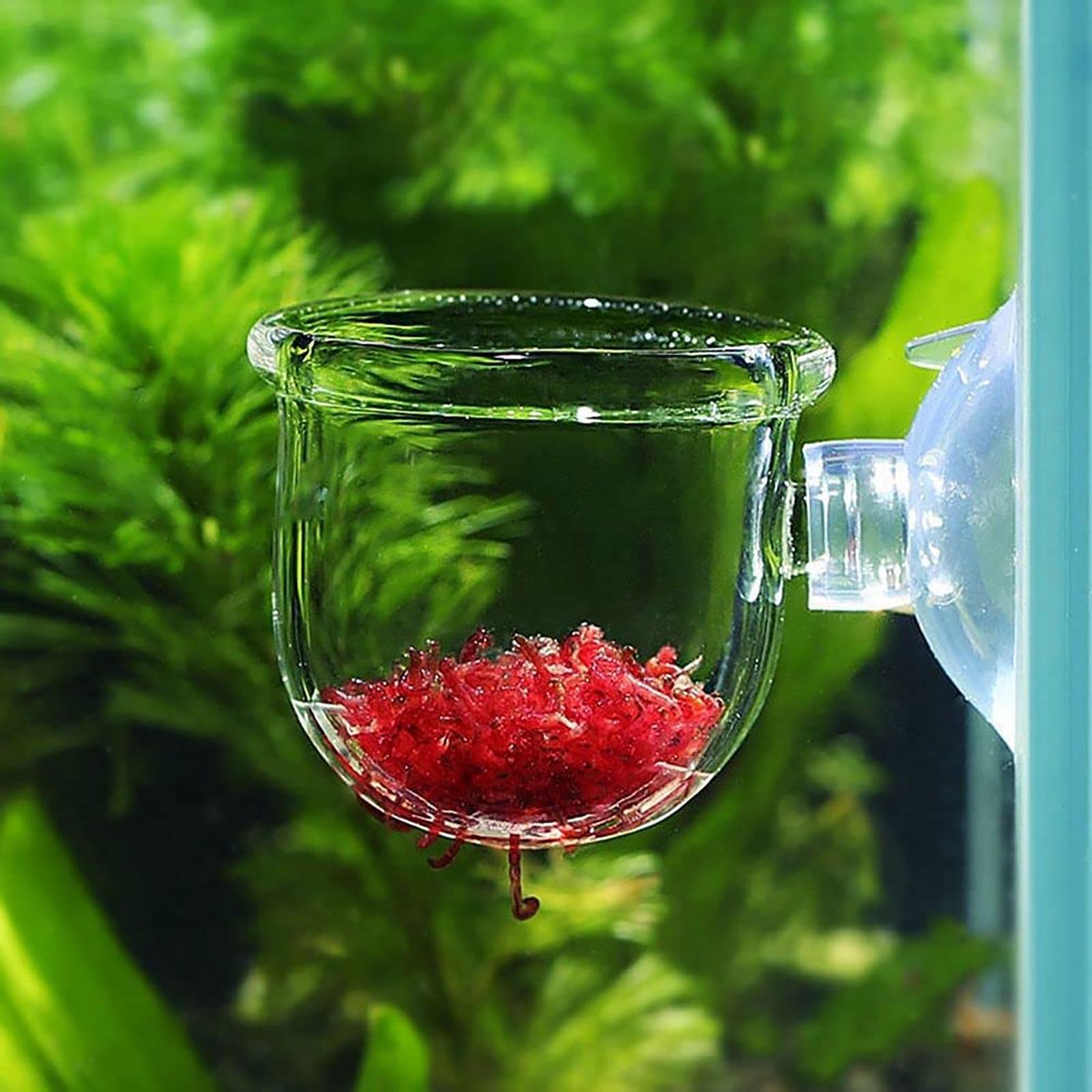Su Bitkisi Saksısı Şeffaf Akri - Aquarium Fish Pot incelemesi ve fiyatı