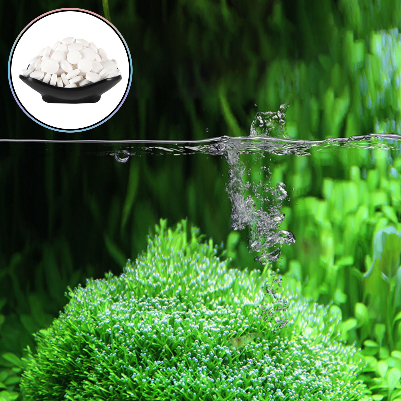 150 Tablet Akvaryum Yosun Temi - Aquarium Fish Black incelemesi ve fiyatı