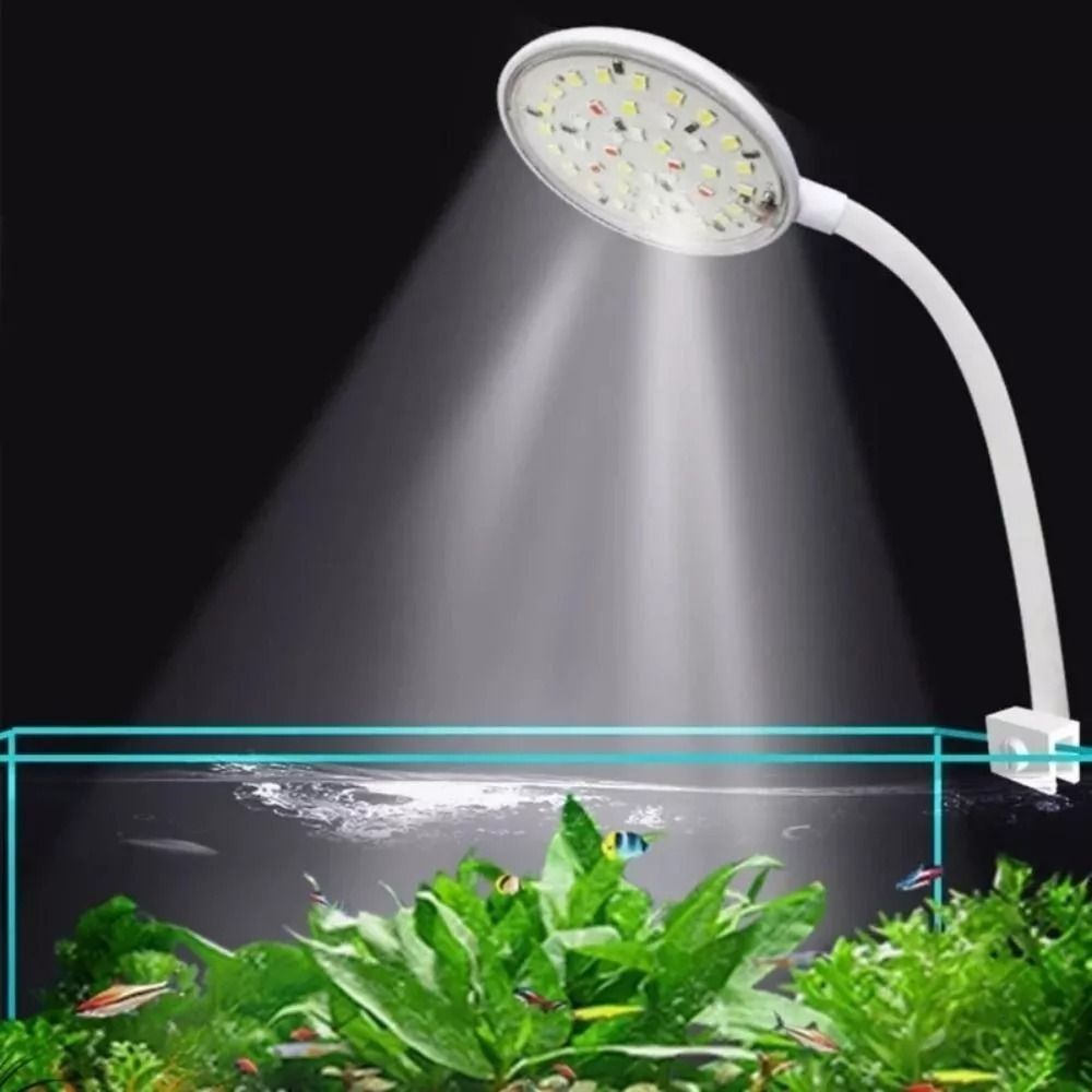 Yeni Mini akvaryum takılabilir - Aquarium Fish Live incelemesi ve fiyatı