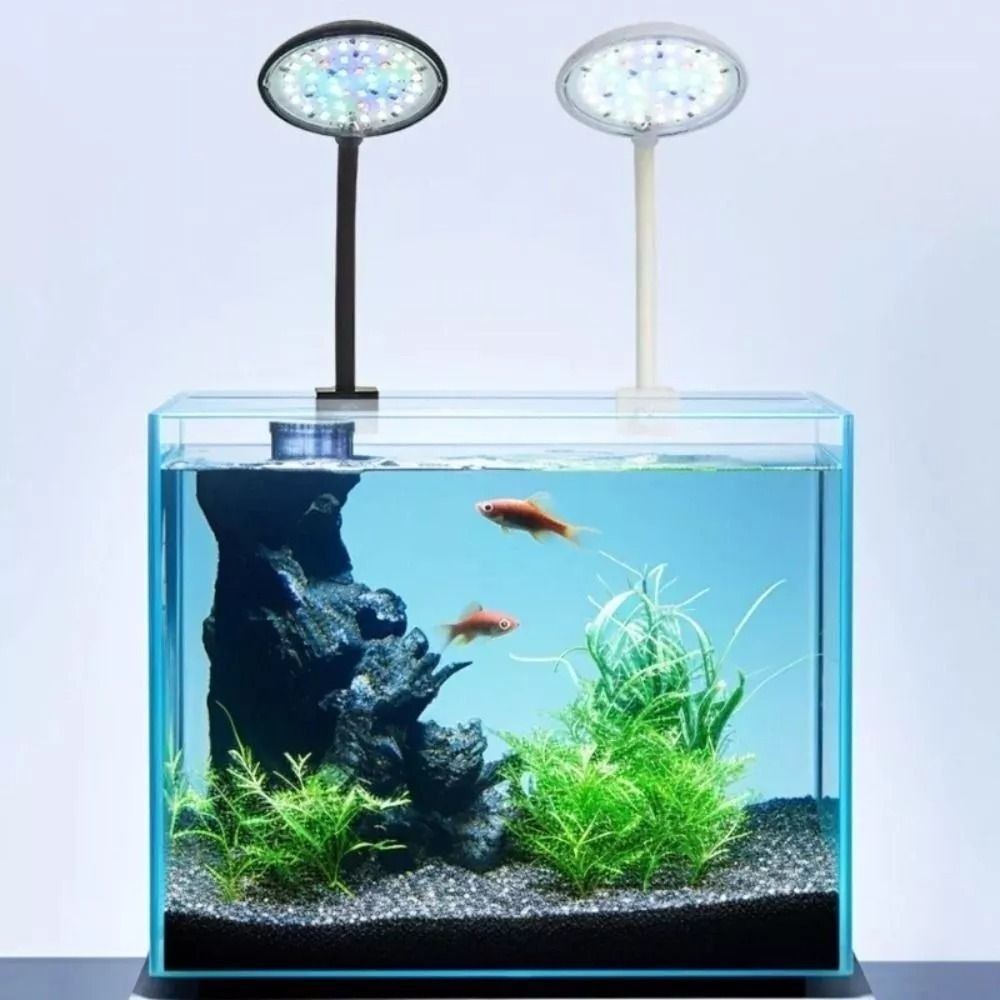 Yeni Mini akvaryum takılabilir - Aquarium Fish Live incelemesi ve fiyatı