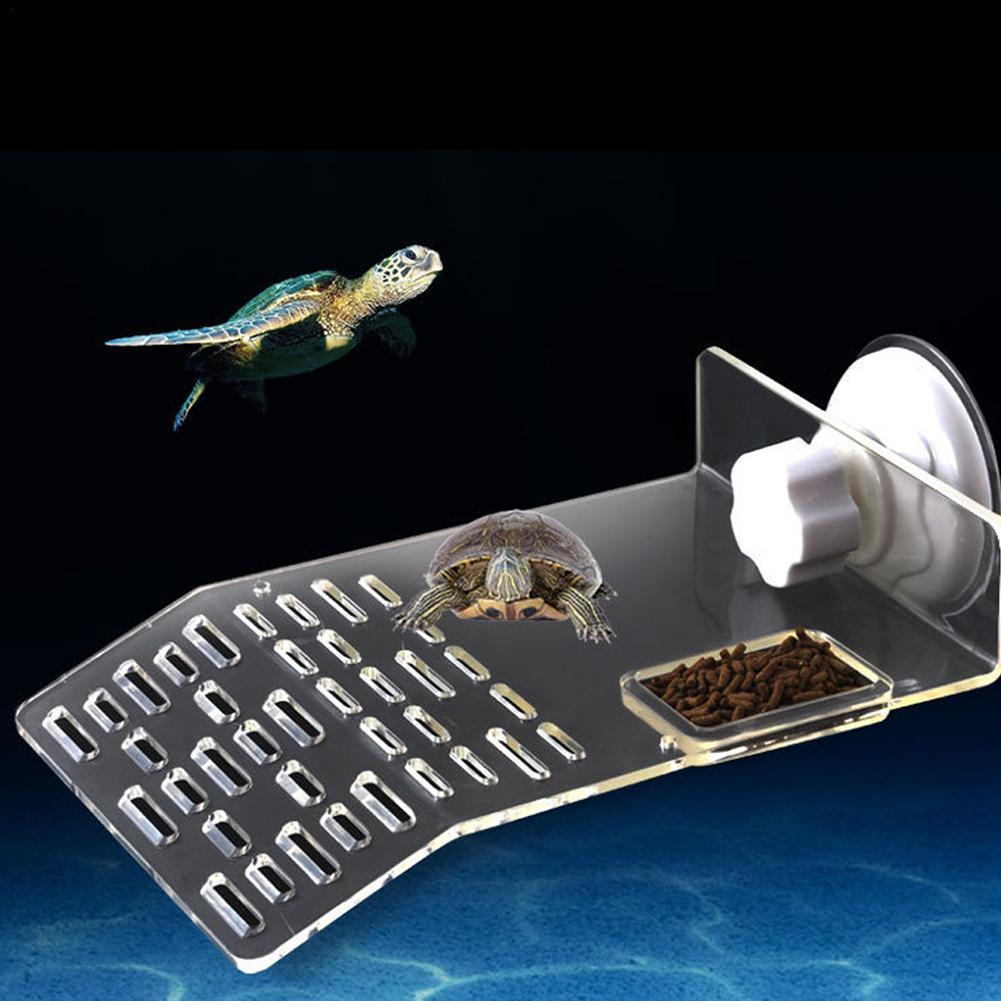 Kaplumbağa iskele Dock Basking - Aquarium Fishland incelemesi ve fiyatı