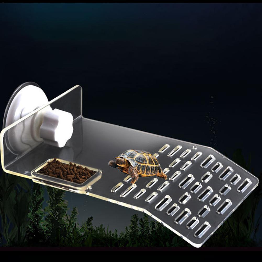 Kaplumbağa iskele Dock Basking - Aquarium Fishland incelemesi ve fiyatı