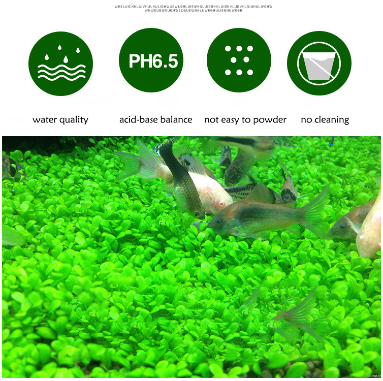 Akvaryum bitki tohumları topra - Aquarium Fish Photography incelemesi ve fiyatı