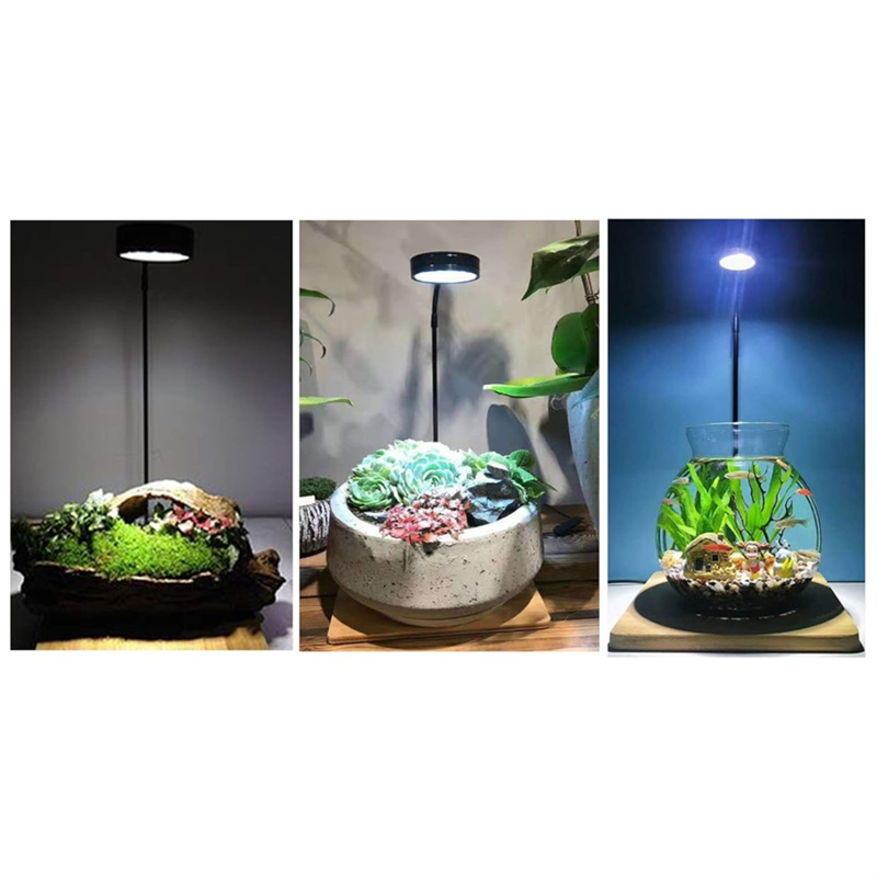 AB45 LED Akvaryum Balık Tankı  - Aquarium Fish Pot incelemesi ve fiyatı