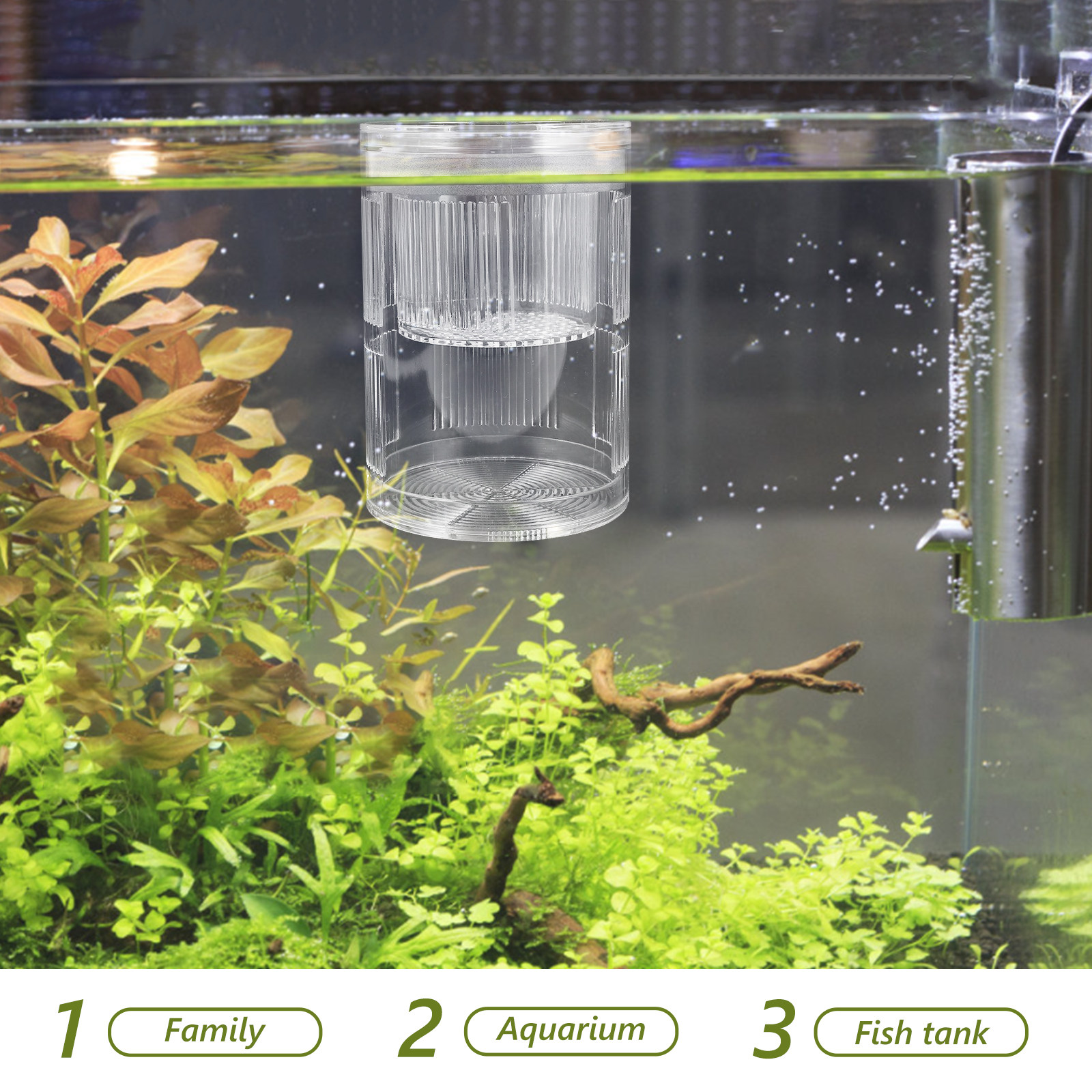 Yüzen Akrilik Balık Yetiştirme - Aquarium Fish Freshwater incelemesi ve fiyatı