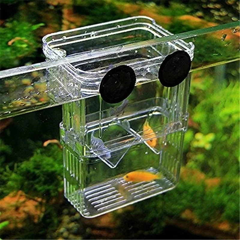 Çok Fonksiyonlu Balık Akvaryum - Aquarium Fish In Bowl incelemesi ve fiyatı