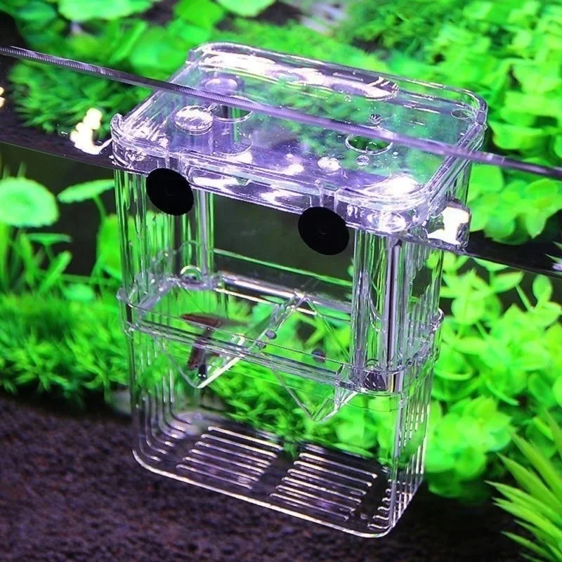 Çok Fonksiyonlu Balık Akvaryum - Aquarium Fish In Bowl incelemesi ve fiyatı