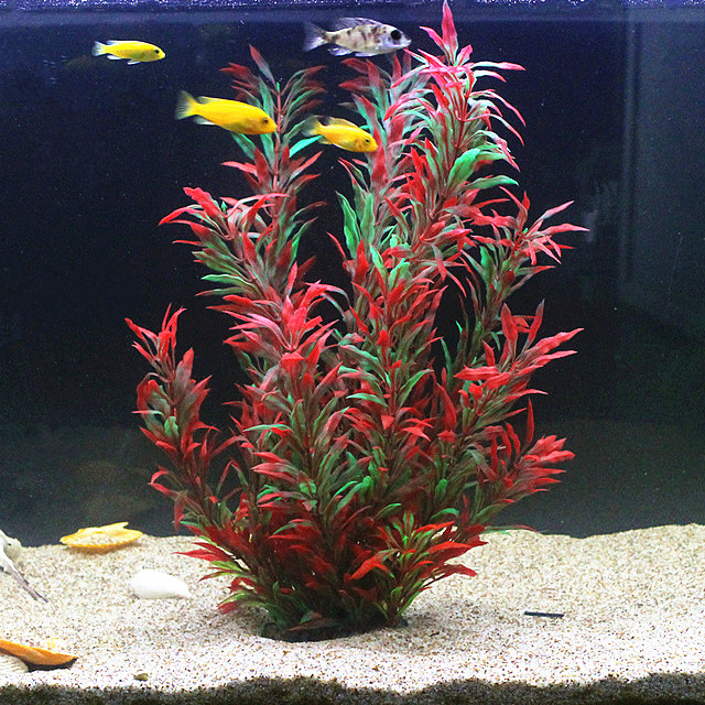 50 CM Yapay Balık Tankı Nadir  - Aquarium Fish Photography incelemesi ve fiyatı