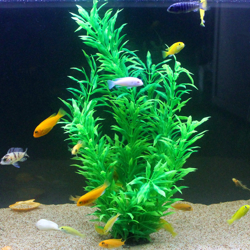 50 CM Yapay Balık Tankı Nadir  - Aquarium Fish Photography incelemesi ve fiyatı