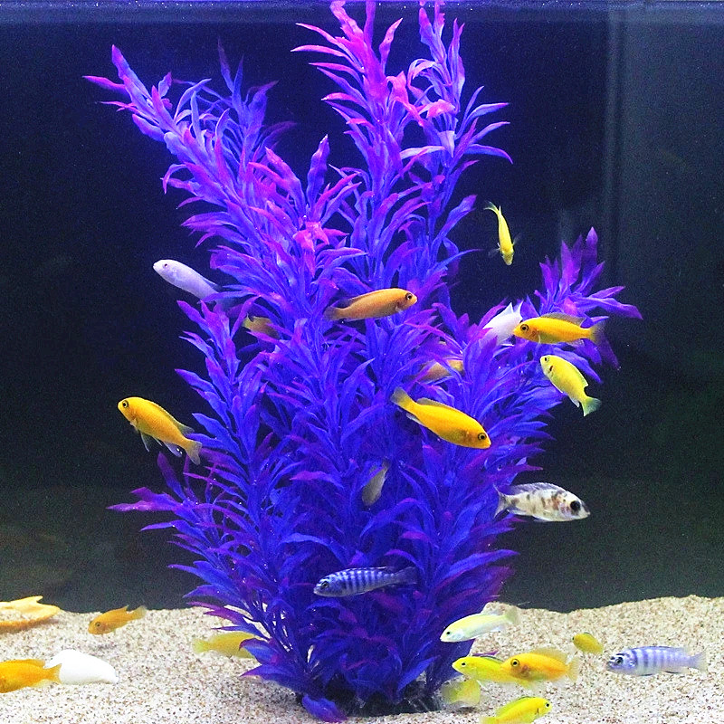 50 CM Yapay Balık Tankı Nadir  - Aquarium Fish Photography incelemesi ve fiyatı