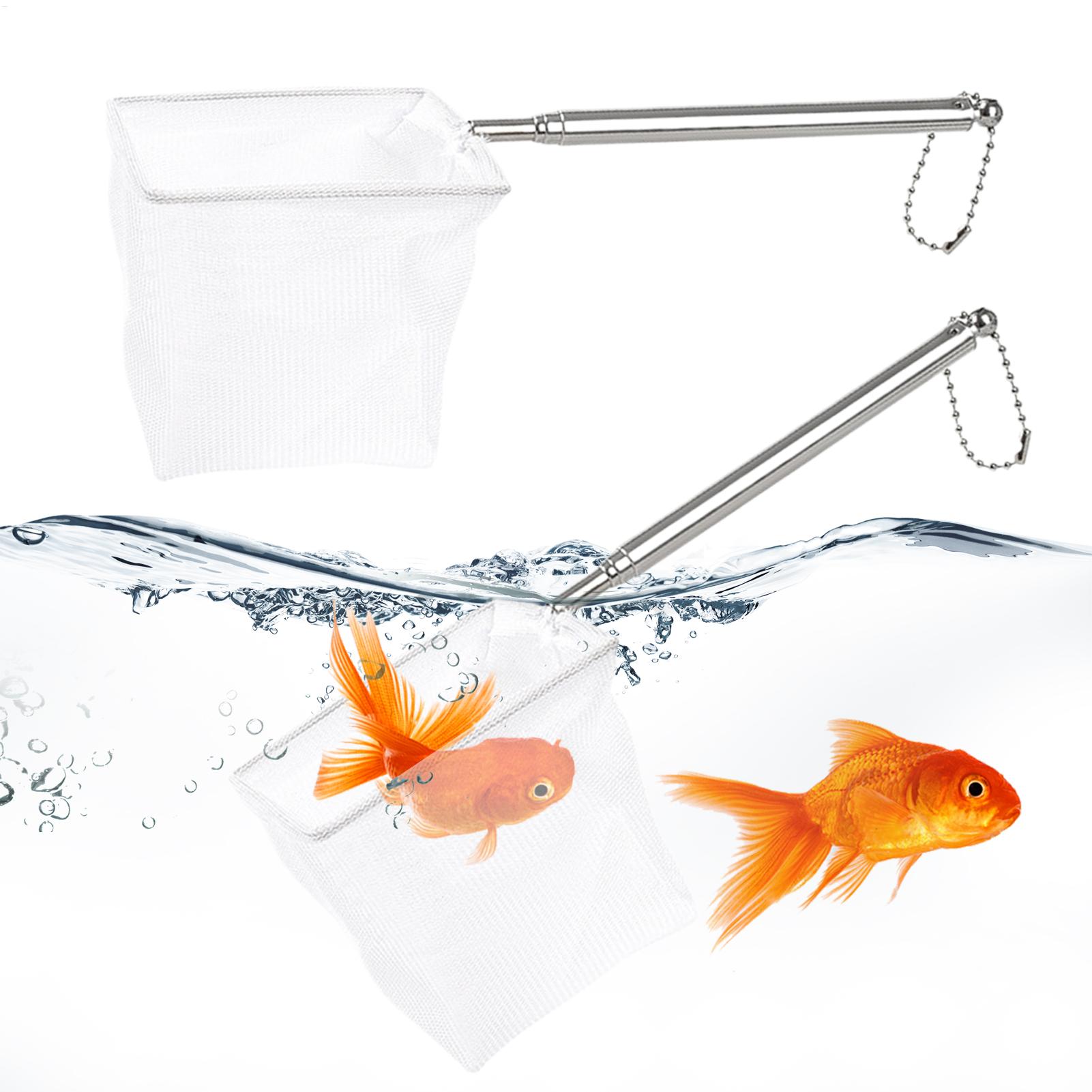 2 adet küçük balık ağı telesko - Aquarium Fishland incelemesi ve fiyatı