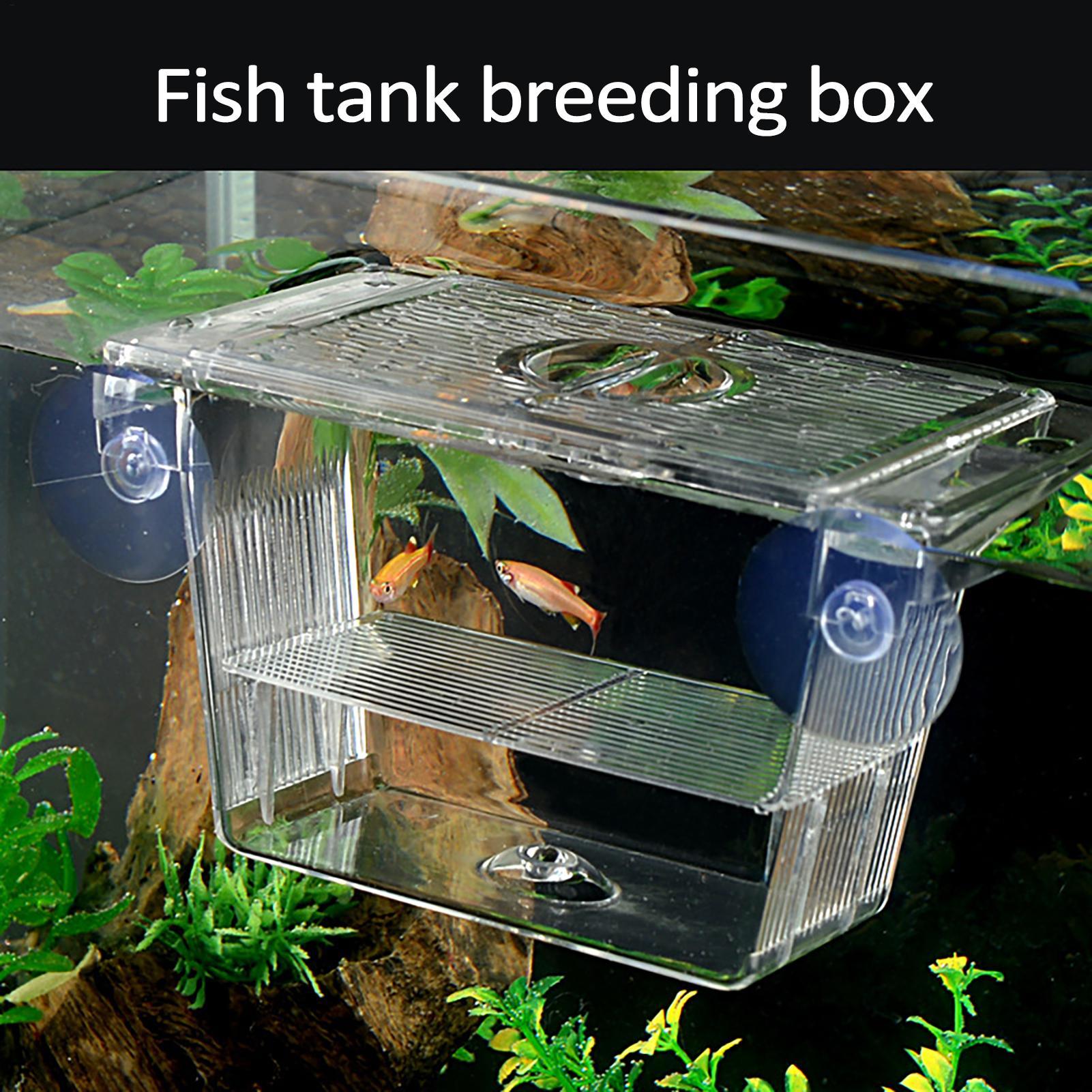 Balık Tankı için Yetiştirici K - Aquarium Fish In Bowl incelemesi ve fiyatı