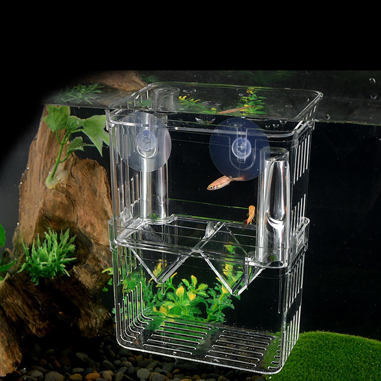 Balık Tankı için Yetiştirici K - Aquarium Fish In Bowl incelemesi ve fiyatı