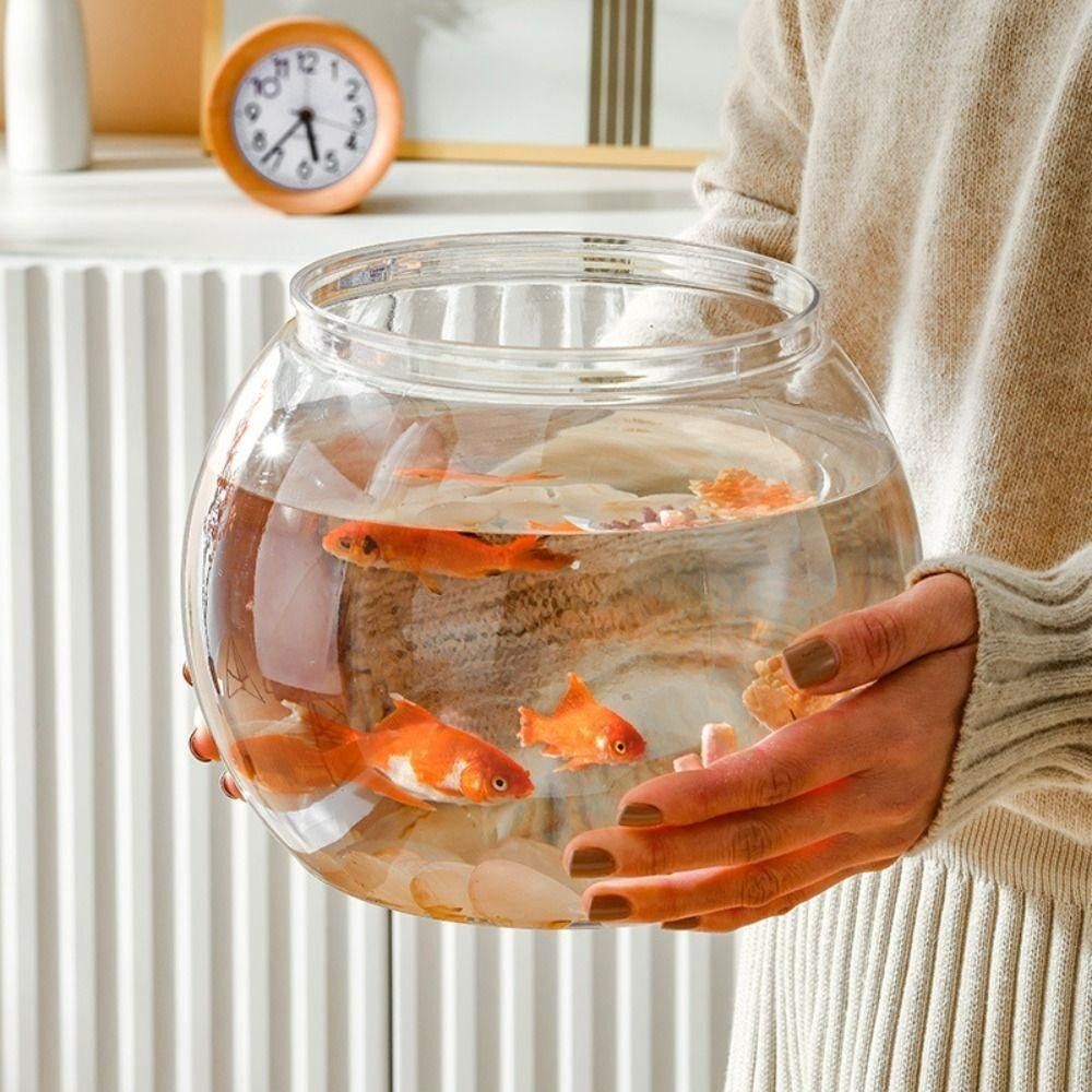 Yeni Şeffaf Balık Tankı Yuvarl - Aquarium Fish In Bowl incelemesi ve fiyatı