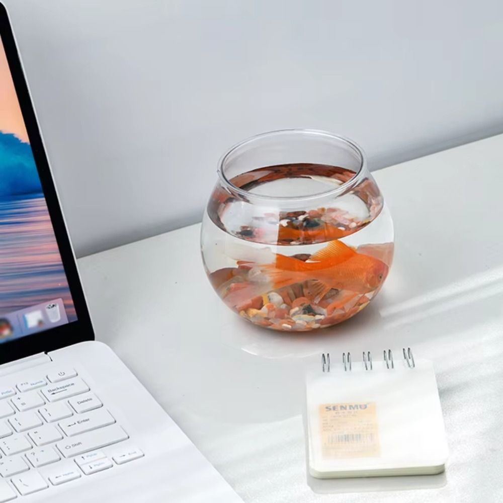 Yeni Şeffaf Balık Tankı Yuvarl - Aquarium Fish In Bowl incelemesi ve fiyatı