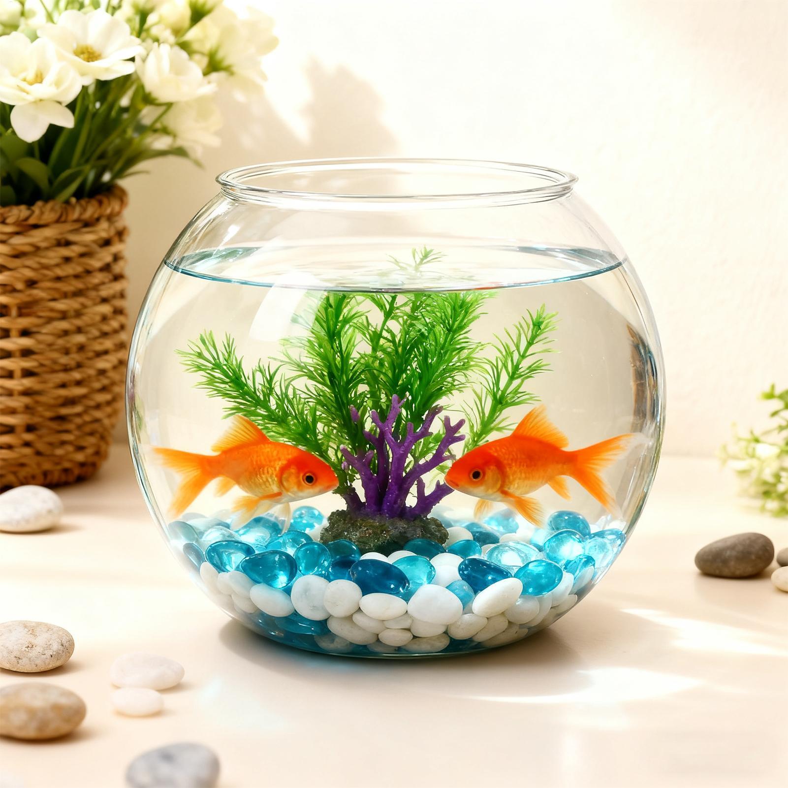 Kabarcık Kase Yerden Tasarruf  - Aquarium Fish In Bowl incelemesi ve fiyatı