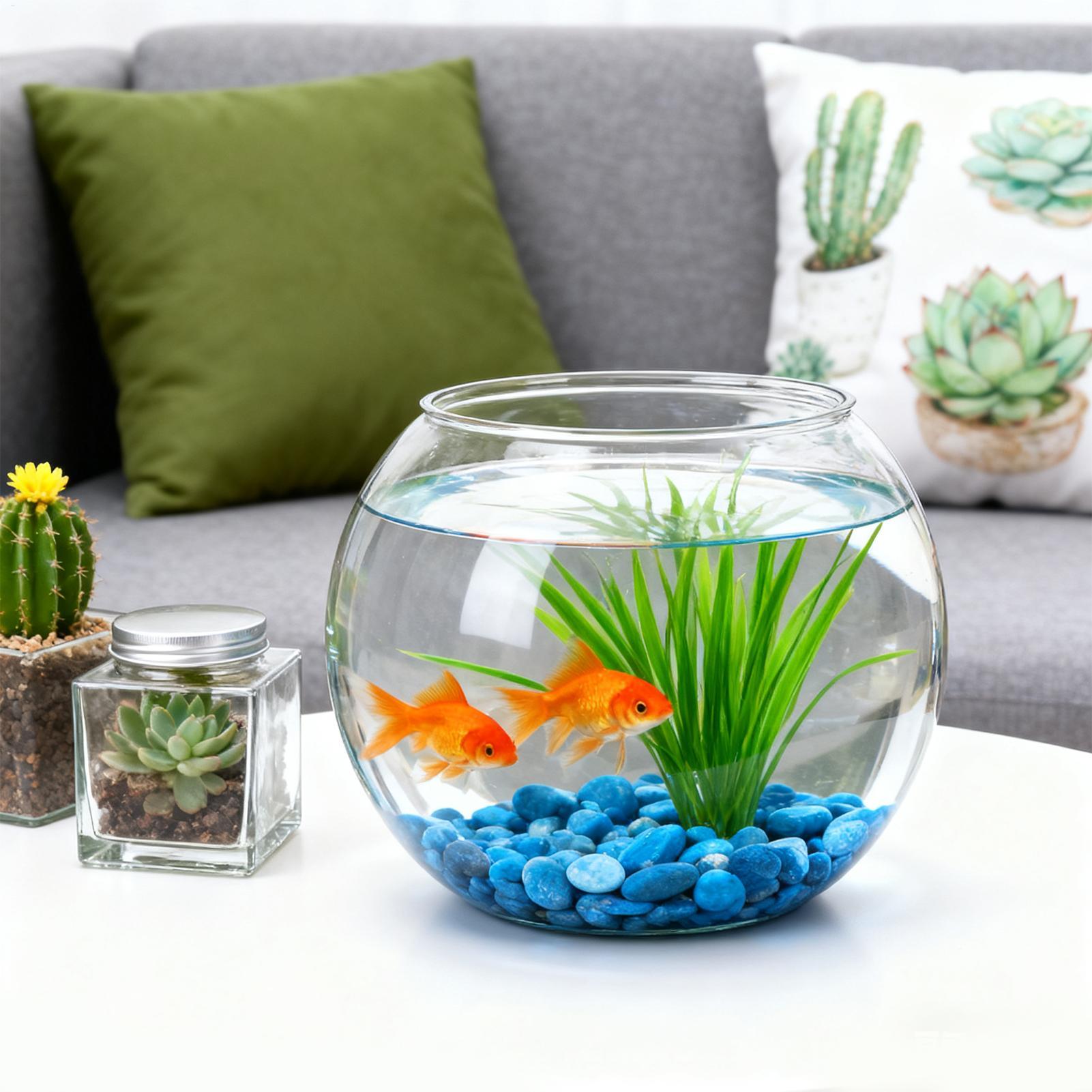 Kabarcık Kase Yerden Tasarruf  - Aquarium Fish In Bowl incelemesi ve fiyatı