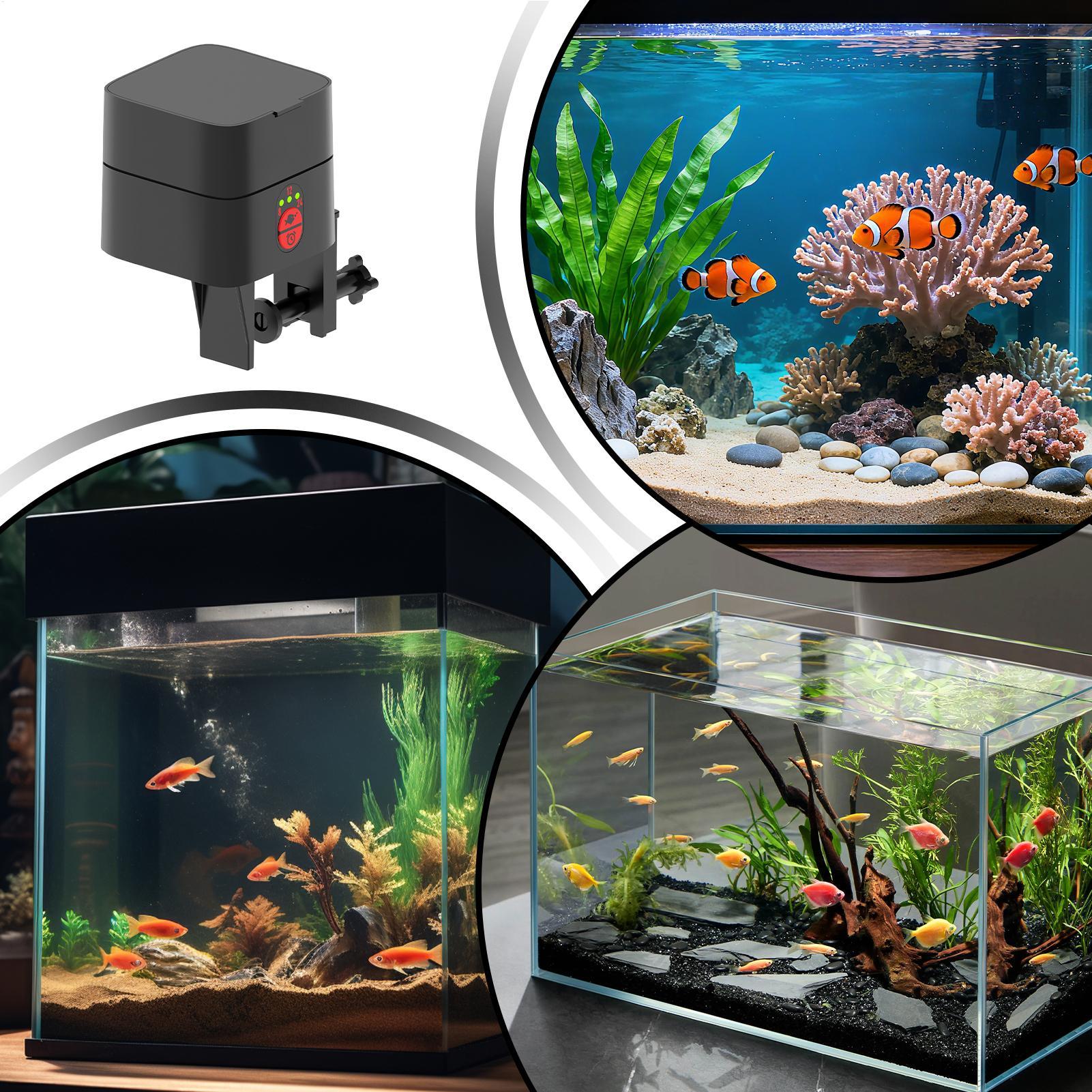 Akvaryum için Otomatik Balık B - Aquarium Fish In Bowl incelemesi ve fiyatı