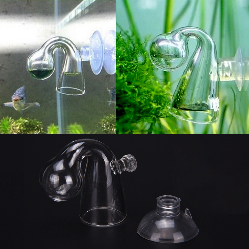 Monitör test cihazı akvaryum b - Aquarium Fish Photography incelemesi ve fiyatı