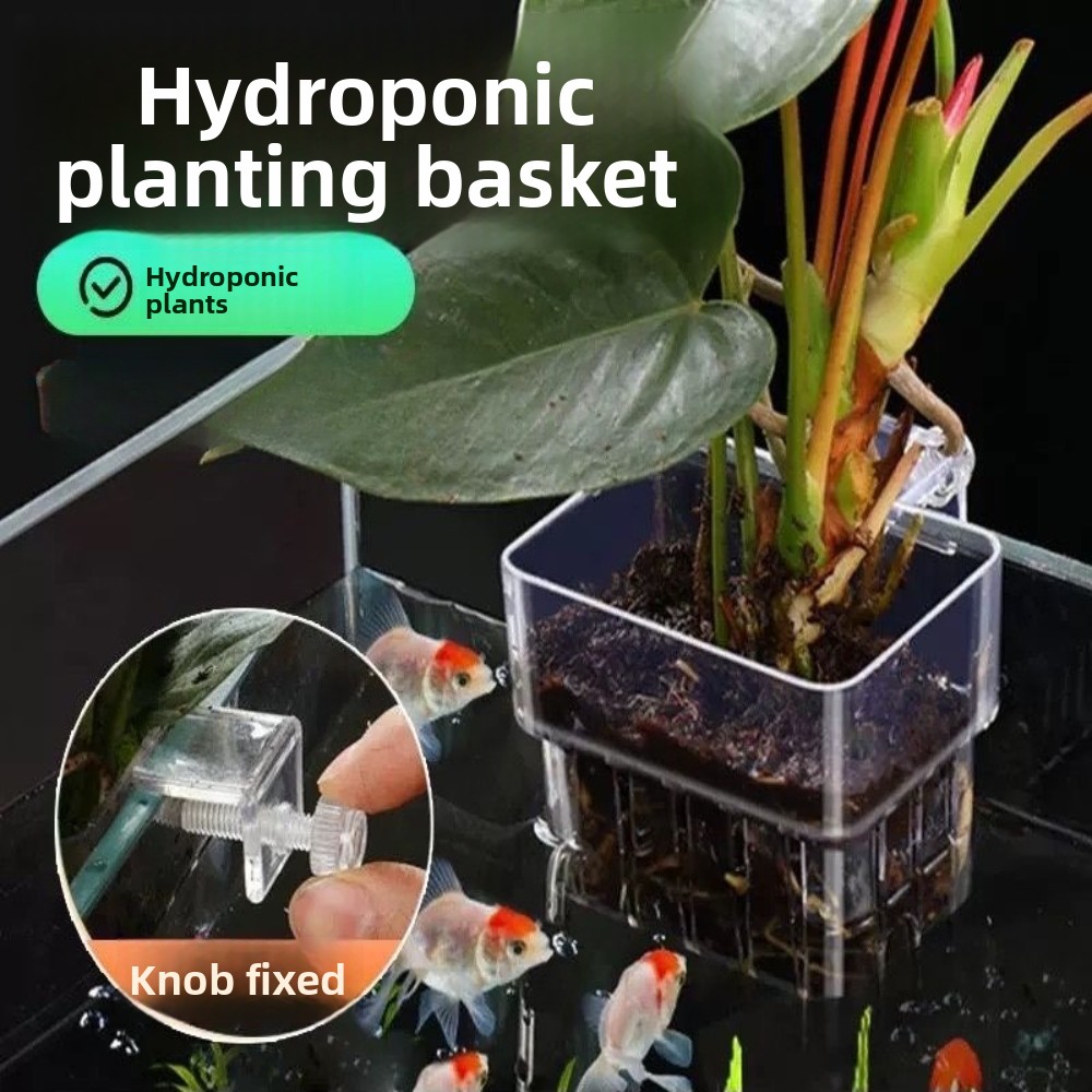 Akvaryum Hidroponik Dikim Sepe - Aquarium Fish Pot incelemesi ve fiyatı