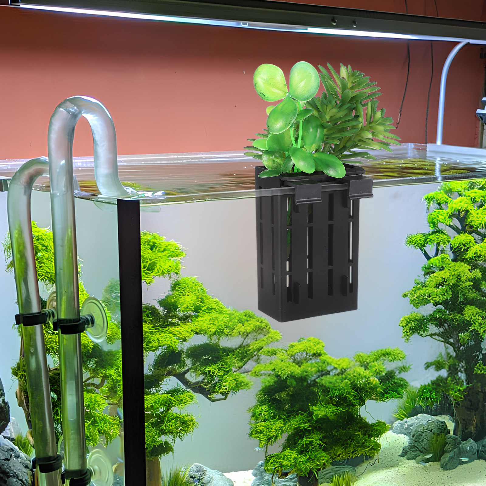 10 Adet Su Bitkisi Sepeti Asıl - Aquarium Fish Pot incelemesi ve fiyatı
