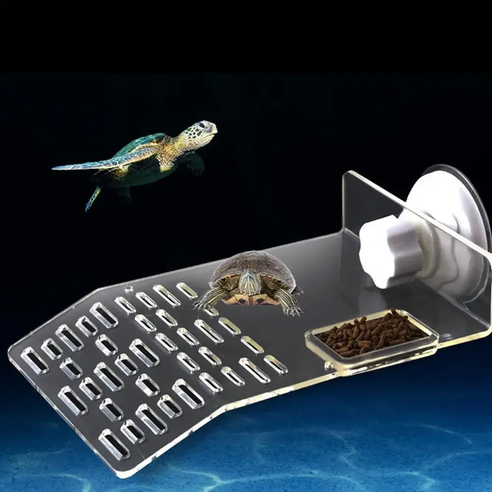 Kaplumbağa İskelesi Yüzer Plat - Aquarium Fishland incelemesi ve fiyatı