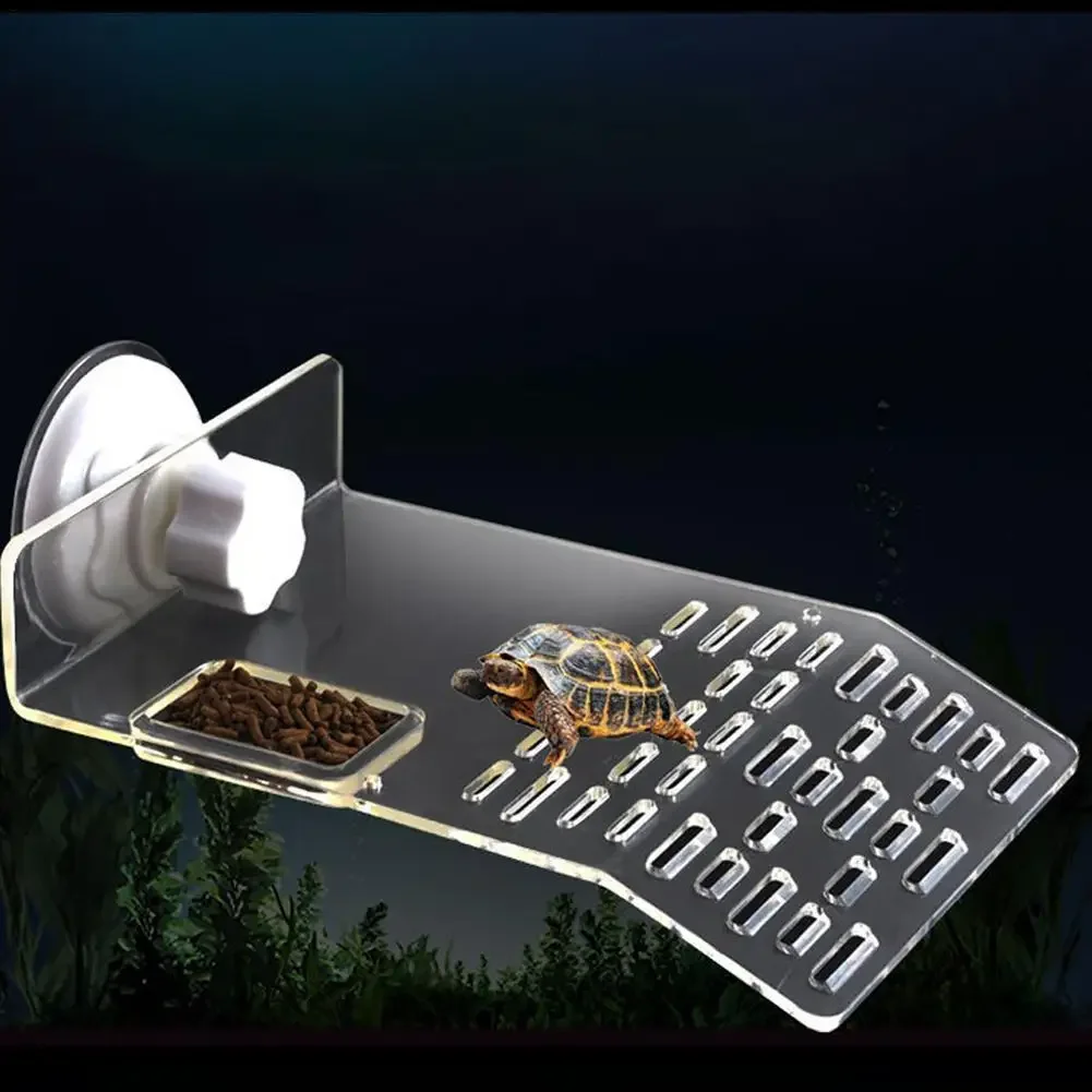 Kaplumbağa İskelesi Yüzer Plat - Aquarium Fishland incelemesi ve fiyatı