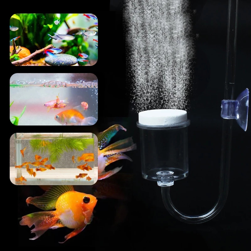 4 adet Set DIY CO2 difüzör içi - Aquarium Fish Photography incelemesi ve fiyatı