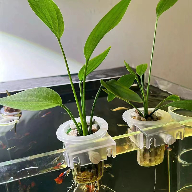 Akvaryum dikim sepeti hidropon - Aquarium Fish Pot incelemesi ve fiyatı