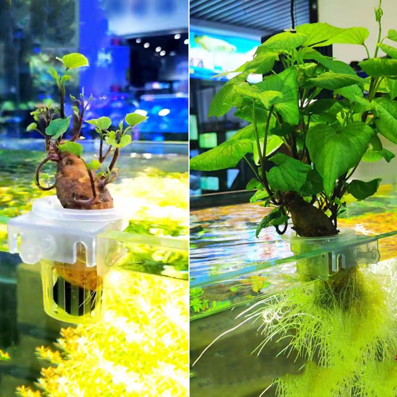 Akvaryum dikim sepeti hidropon - Aquarium Fish Pot incelemesi ve fiyatı