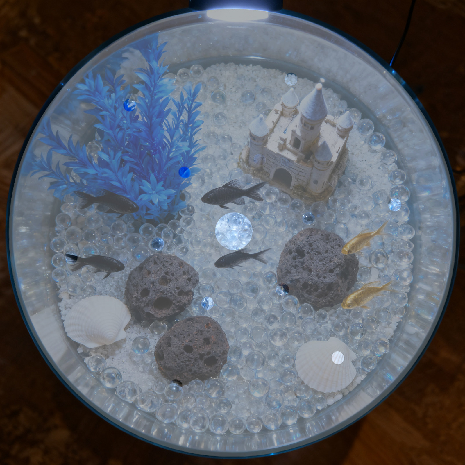7 inç Yuvarlak Akrilik Balık T - Aquarium Fish In Bowl incelemesi ve fiyatı